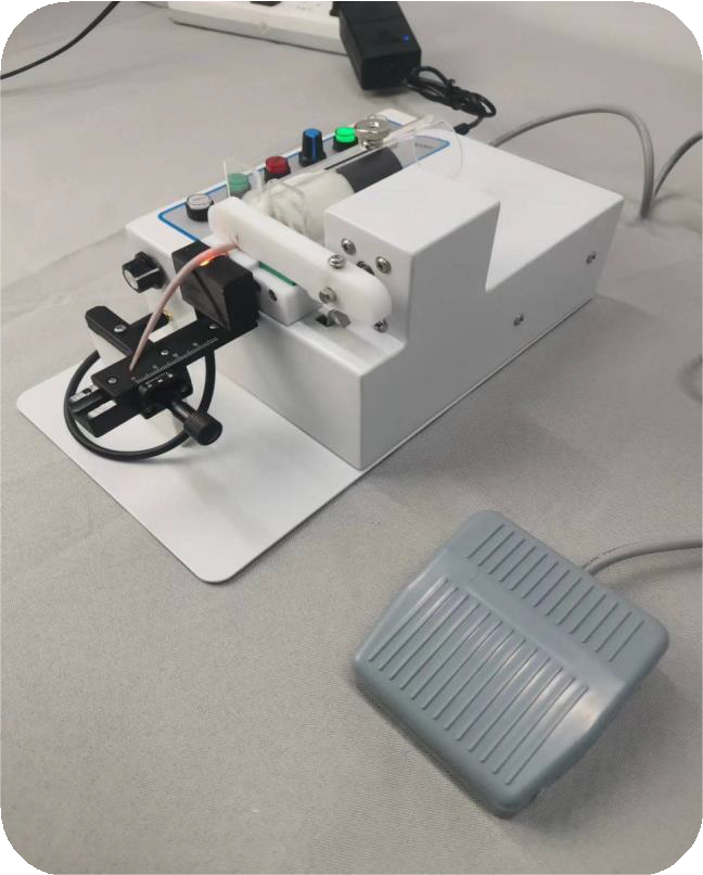 静脉可视小鼠尾注固定器